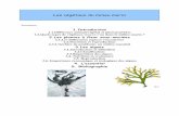 Les végétaux du milieu marin - dauphincatalan.free.frdauphincatalan.free.fr/down/vegetaux.pdf · (Phanérogames), des plantes sans fleurs (Cryptogames). ... La reproduction peut