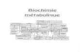22BW-5e-20160117161839amicale- · PDF filemembrane du thylakoïde membrane mitochondriale externe membrane mitochondriale interne stroma . Les mitochondries: