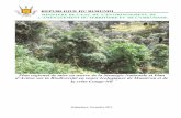 REPUBLIQUE DU BURUNDI - cbd.int · PDF filepresentation generale de la region de la crete congo nil et du mumirwa