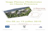 Stage Plantes Médicinales en Haute Provence - ulb.ac.be · PDF fileest un village de montagne au climat méditerranéen chaud le jour et froid dès le ... • Confectionner votre