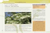 Plantes mellifères - Accueil1).pdf · Plantes mellifères majorité des espèces de la famille des Fabacées. Le calice, verdâtre plus ou moins maculé de rouge, est constitué
