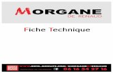Fiche Technique Morgane de Renaud - Info · PDF fileCette fiche technique, constituée de 6 pages, est la fiche technique contractuelle adaptée à un lieu standard. ... 23 Vox Accordion