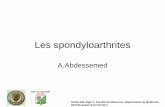 Les spondyloarthrites - ceil.univ-alger.dzceil.univ-alger.dz/sciences_med/images/cours/5annee/spondyloarth... · Réponse immunitaire anormale . ... l’épanchement intra articulaire,