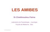 LES AMIBES -   · PDF file- dysentérie amibienne - amibiase invasive : abcès hépatique, pulmonaire, cérébral, génito-urinaire ... PHYSIOPATHOLOGIE DE L'AMIBIASE