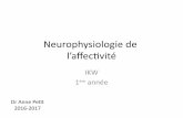 Neurophysiologie de l’affectivité - AFCP · PDF fileNeurophysiologie de ... venant de la périphérie vers le cerveau (fibres sensitives) • Voies efférentes : ... LES RESEAUX