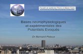 Bases neurophysiologiques et expérimentales des …physio.tsticemed.upmc.fr/wp-content/uploads/sites/7/2014/01/... · sensitives ou sensorielles. Les réponses se présentent ...
