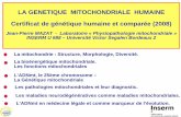 LA GENETIQUE MITOCHONDRIALE HUMAINE Certificat jean- humaine et...LA GENETIQUE MITOCHONDRIALE HUMAINE. Certificat de gntique humaine et compare (2008) Jean-Pierre MAZAT - Laboratoire