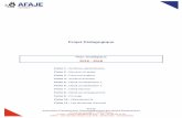 Projet Pédagogique - proxy.siteo.com.s3. · PDF fileProjet Pédagogique Plan stratégique 2016 - 2018 ... Mise à disposition d’une plateforme d’e-learning et de l’interface