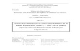 Thèse de Doctorat - Constantine 1 · PDF fileRépublique Algérienne Démocratique et Populaire Ministère de l’Enseignement Supérieur et de la Recherche Scientifique Université