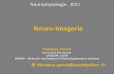 Neuro-Imagerie · PDF fileNeuro-Imagerie Neurophysiologie. 2017 Florence Perrin Université Montpellier INSERM U 1198 MMDN –Molecular mechanisms of Neurodegenerative diseases