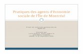Pratiques des agents d’économie sociale de l’Île de Montréal · PDF file{QQpp ,p ppqp,ui se fait par expérience, par exercices répétés : ... L’ÉLABORATION DE DOCUMENTS