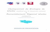 Dossier de présentation Championnat de Bretagne de Wushu ...sites.ffkarate.fr/liguebretagne/wp-content/uploads/sites/18/2018/... · 2 I°/ Nos partenaires locaux • Ligue de Bretagne