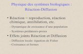 Physique des systèmes biologiques : Réaction-Diffusion ...moulon.inra.fr/~omartin/PSB_L3/CoursRD.pdf · Qui était Fibonacci ? •Grand mathématicien italien ... / d t = r1 R [