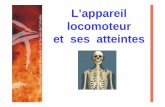 Service Départemental d'Incendie et de Secours du C et ses ... · PDF fileSAP 1 Syst me locomoteur Author: sgras Created Date: 7/2/2009 12:00:00 AM