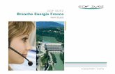 05 BEF ID08 VF Print - engie. · PDF fileLa Compagnie du Vent, Erelia, Eoliennes de la Haute ... sur le change €/$ et les cours internationaux de pr oduits pétroliers ... des services