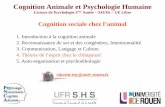 Cognition Animale et Psychologie Humainepsychobiologierouen.free.fr/wp-content/uploads/L2/tom_chimpanze.pdf · cognition: reply to Tomasello and Call (2008). J Comp Psychol. 122(4):453-5.