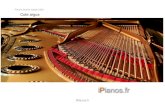 Pianos récents (après 1991) Cote argusipianos.fr/Argus_ipianos.pdf · Les pianos de grande taille ou de petite taille subissent un décote d’environ 10% (pianos de concert, crapauds,