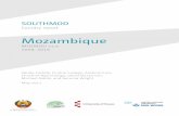 SOUTHMOD Country Report: Mozambique - UNU … Country report Mozambique MOZMOD v1.0 2009, 2015 Vanda Castelo, Finório Castigo, António Cruz, Christine Byaruhanga, David McLennan,