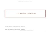 Support de Cours (Version PDF) - CAMPUS NUMERIQUEScampus.cerimes.fr/maieutique/UE-obstetrique/uterusgravide/site/... · - Support de Cours (Version PDF) - I LE CORPS UTÉRIN L’utérus