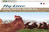 W-36 BROWN RURAL - · PDF fileVériﬁ er le programme lumineux ,l’intensité et les synchroniser avec le bâtiment d’élevage. La Hy-Line Brown Rural a besoin de beaucoup de lumière