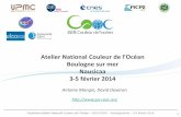 Atelier National Couleur de l’Oéan · PDF file · 2015-06-09LOG (ULCO, Lille-1) Manifestation d’intérêt ... Produits standard ESA issus du 3ème retraitement MERIS 2011 (=