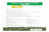 Histoire de la domestication du blé - semencemag.fr • 2 arbres phylogénétiques du blé, l’un renseigné et l’autre muet ... • le diaporama du cours optionnel (.ppt modiﬁ