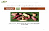 Association Inter-provinciale de gestion des Centres · PDF file4 ITINERAIRE TECHNIQUE Les résidus de patate douce peuvent empêcher la nodulation chez les plantes fixatrices d’azote,