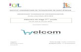 Web viewinstitut universitaire de technologie de saint-Étienne. dÉpartement techniques de commercialisation. année universitaire 2015/2016