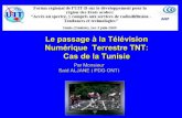 Le passage à la Télévision Numérique Terrestre TNT: Cas de ...madwatch.net/dossier/dossier_prezonttnt.pdf · l’exploitation des réseaux de télédiffusion en ... † Réseau