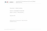 Concours : CAPLP externe - …media.devenirenseignant.gouv.fr/file/caplp_ext/63/5/RJ-2017-CAPLP... · d’éonomie-droit en Lycée Professionnel, ... Le soin apporté à la copie