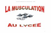 Groupe Académique Lyon Musculation - 2008 identifier celles qui seront indispensables aux professeurs de lycée. ... de la musculation au lycée. 5) ... il l'air d'avoir choisi la