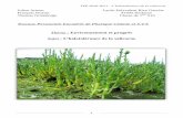 Travaux Personnels Encadrés de Physique-Chimie et S.V.T ...s4.e-monsite.com/2011/03/19/02/TPE-Salicorne-Site1.pdf · la salicorne européenne (Salicornia europaea), en comparant