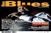 Denis Gauthier SALAISE SUR SANNE - BLUES · PDF fileHill Country Blues a évolué de la même façon que la musique dans mon pays : la musique était dans les plaines du Delta et,