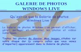 Galerie de photos Windows - Informatique,Cinéma et Vidéo ...icv.83.free.fr/Rubriques/Biblio_modules/diapo_gal_photo.pdf · en les téléchargeant d'un album Windows Live SkyDrive