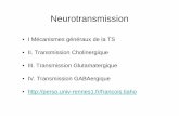 I Mécanismes généraux de la TS • II. Transmission ... · I Mécanismes généraux de la neurotransmission • 1. Comparaison hormone-neuromédiateur • 2. Propriétés des neurotransmetteurs