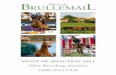 BRULLEMAI Haras de L - Haras de · PDF fileAt the buyers cost is 3% plus tax for bids. the auctioneer will remind all buyers that their acquisitions are to be paid ... contactbrullemail@orange.fr