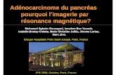 Adénocarcinome du pancréas pourquoi l’imagerie par ...pe.sfrnet.org/Data/ModuleConsultationPoster/pdf/2009/1/ec4edc19-21... · imaging of pancreatic cancer. T op Magn Reson Im