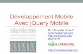 mobilesenegal.org Avec jQuery Mobilemobilesenegal.org/burkina/burkinajquerymobile.pdf · Développer une application mobile App mobile Expérience mobile ... Permet le développement