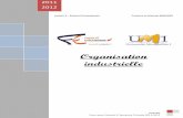 Organisation industrielle - UM1 écoeco.um1.free.fr/doc/Semestre_5/Organisation_Industrielle/cours/6b6... · PDF fileORGANISATION INDUSTRIELLE 2011 2012 ORGANISATION INDUSTRIELLE