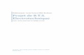 Projet de B.T.S. Electrotechnique - fladnag.net de BTS... · Projet : Station d’épuration de CAMBES, Gironde Page 2 Introduction I. Présentation a. Présentation du projet b.