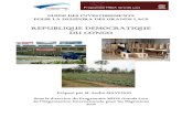 REPUBLIQUE DEMOCRATIQUE DU CONGO - pseau.org€¦ · d’entreprendre en RDC, en général et à Kinshasa, en particulier. Créer, développer ou relancer une activité économique