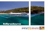 Mindoro sud de la province du Mindoro Occidental, la petite ville de San Jose permet d’accéder aux sites de plongée de la côte occidentale de Mindoro. San Jose est le point de