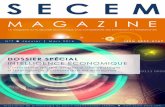 S E C E Msecem.fr/wp-content/uploads/2016/04/SECEM_Magazine... · L’IE pour les Nuls d'Éric DELBECQUE . ... trombinoscope de tous les participants. Cela a permis de faciliter grandement