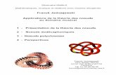 Franck Jedrzejewski Applications de la théorie des noeuds ...repmus.ircam.fr/_media/mamux/saisons/saison01-2001-2002/... · B. Ferneyhough, Superscripto D_447 J. Barraqué, au-delà