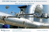 CFG MIC Sensor le monitoring de la biocorrosion des aciers …€¦ ·  · 2015-06-04Dommages sur les conduites en acier au carbone causés par la biocorrosion 3 Percement d’une