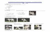 Programme ceinture bleue (2 kyu) – Ju-Jitsu FFJDA · Yannick Boucher (2 DAN) Programme ceinture bleue - Ju-Jitsu FFJDA Page 2/4 Arts Martiaux Japonais Version 3.6 du 21.04.07