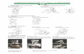 Programme Ceinture Verte - Ju-Jitsu FFJDA · Yannick Boucher (2 DAN) Programme ceinture verte - Ju-Jitsu FFJDA Page 3/4 Arts Martiaux Japonais Version 3.5 du 21.04.07