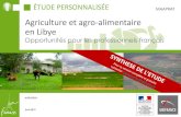 Agriculture et agro-alimentaire en Libyeexport.businessfrance.fr/Galerie/Files/Divers/Synthese_MAAP_opport... · Synthèse 8 1. Agriculture à ... Production laitière : 130-150 000