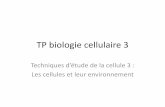 TP biologie cellulaire 2 - bcpst-svt-parc.frbcpst-svt-parc.fr/.../2012/12/TP-biologie-cellulaire-3_Anne.pdf · TP biologie cellulaire 3 Techniques d’étude de la cellule 3 : Les
