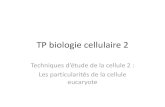 TP biologie cellulaire 2 - bcpst-svt-parc.frbcpst-svt-parc.fr/.../uploads/2012/12/TP-biologie-cellulaire-21.pdf · TP biologie cellulaire 2 Techniques d’étude de la cellule 2 :